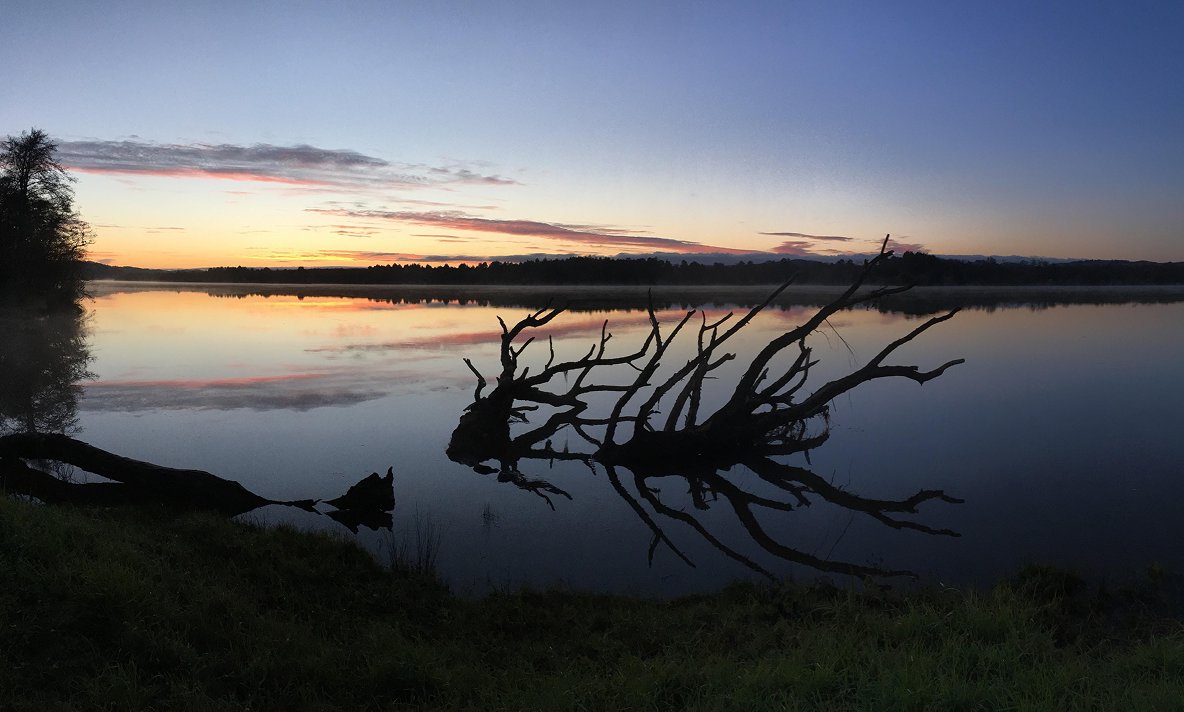 Sunrise at Onewhero Bay